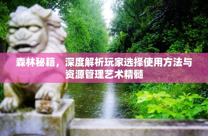 森林秘籍，深度解析玩家选择使用方法与资源管理艺术精髓