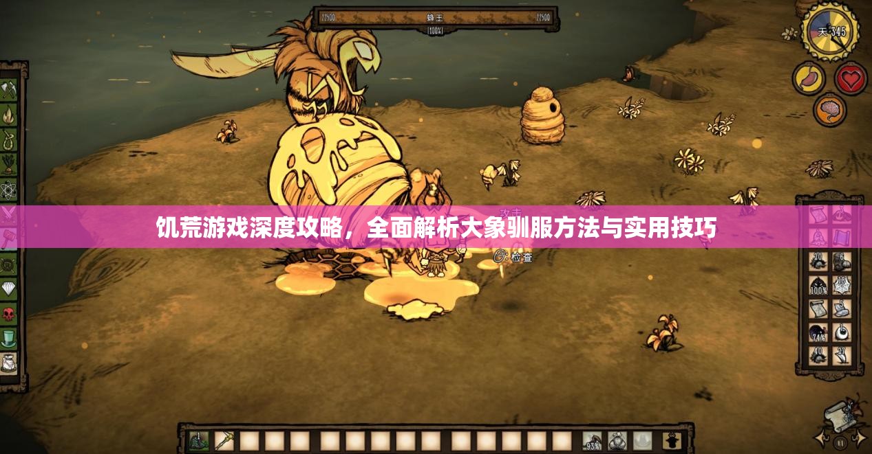 饥荒游戏深度攻略，全面解析大象驯服方法与实用技巧