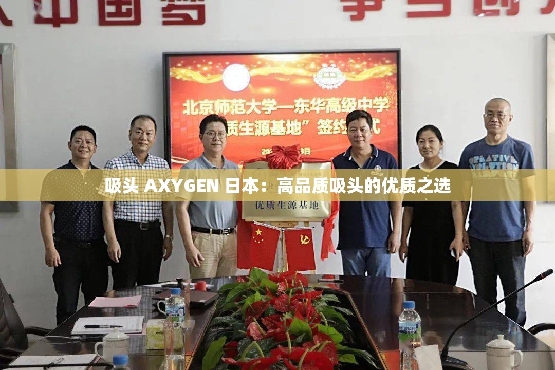 吸头 AXYGEN 日本：高品质吸头的优质之选
