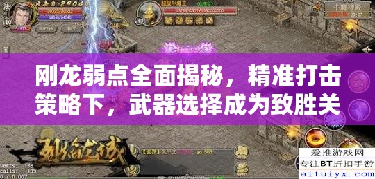 刚龙弱点全面揭秘，精准打击策略下，武器选择成为致胜关键