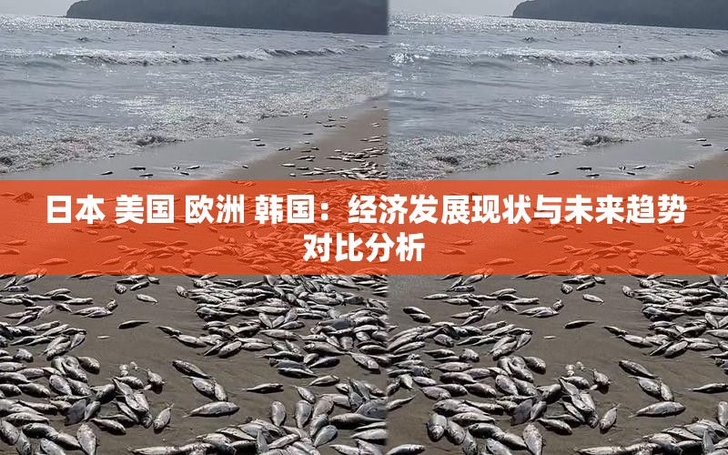 日本 美国 欧洲 韩国：经济发展现状与未来趋势对比分析