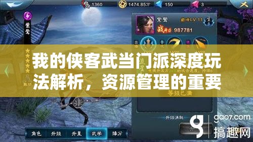 我的侠客武当门派深度玩法解析，资源管理的重要性及实施高效策略指南