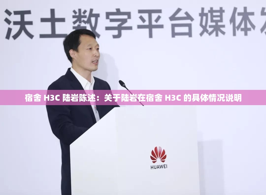 宿舍 H3C 陆岩陈述：关于陆岩在宿舍 H3C 的具体情况说明