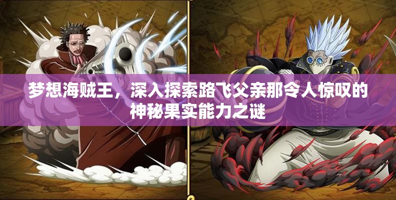 梦想海贼王，深入探索路飞父亲那令人惊叹的神秘果实能力之谜