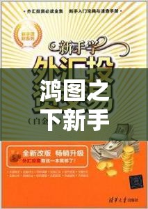 鸿图之下新手进阶攻略，掌握资源管理艺术，助你迈向高手之路