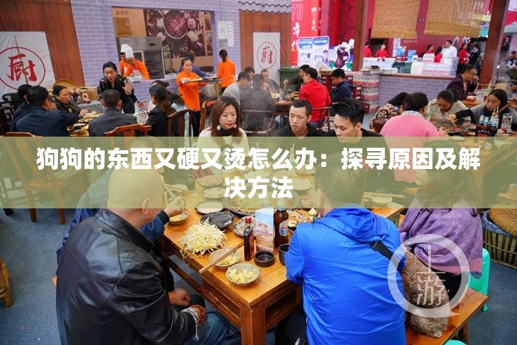 狗狗的东西又硬又烫怎么办：探寻原因及解决方法