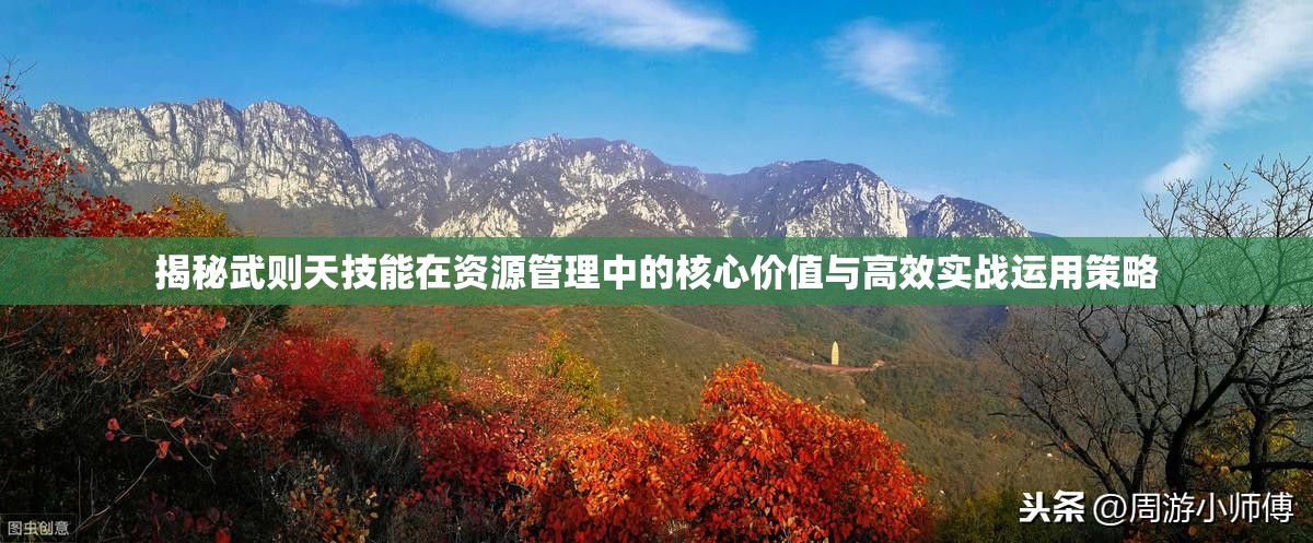 揭秘武则天技能在资源管理中的核心价值与高效实战运用策略