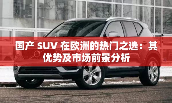 国产 SUV 在欧洲的热门之选：其优势及市场前景分析
