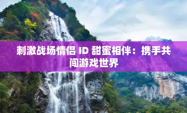 刺激战场情侣 ID 甜蜜相伴：携手共闯游戏世界