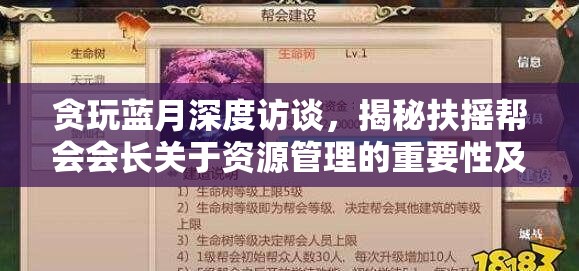 贪玩蓝月深度访谈，揭秘扶摇帮会会长关于资源管理的重要性及高效策略实录