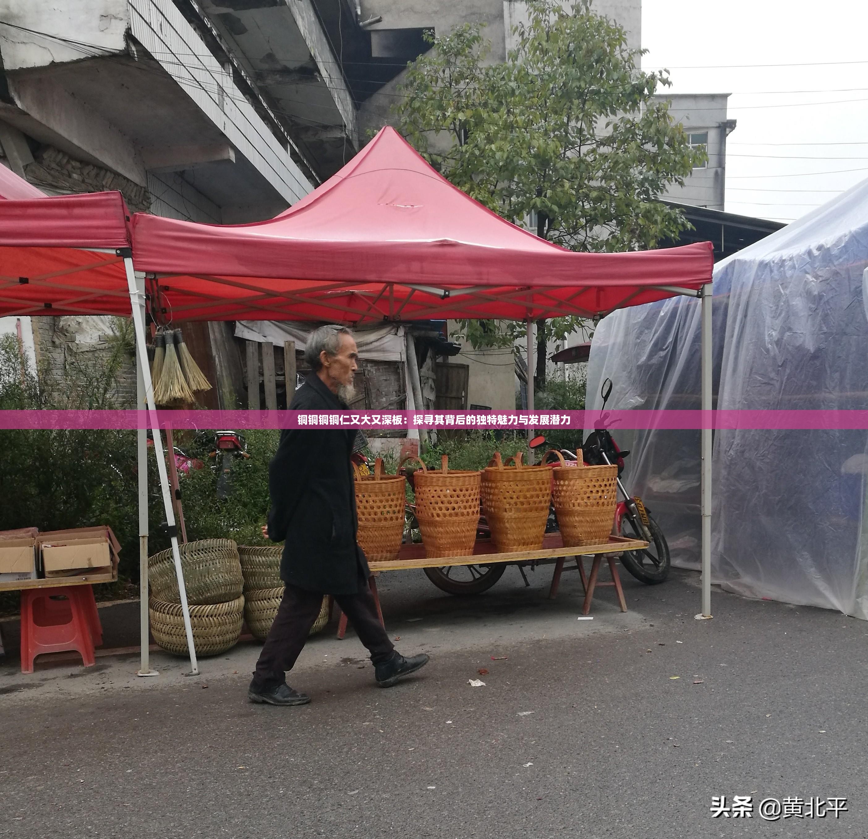 铜铜铜铜仁又大又深板：探寻其背后的独特魅力与发展潜力