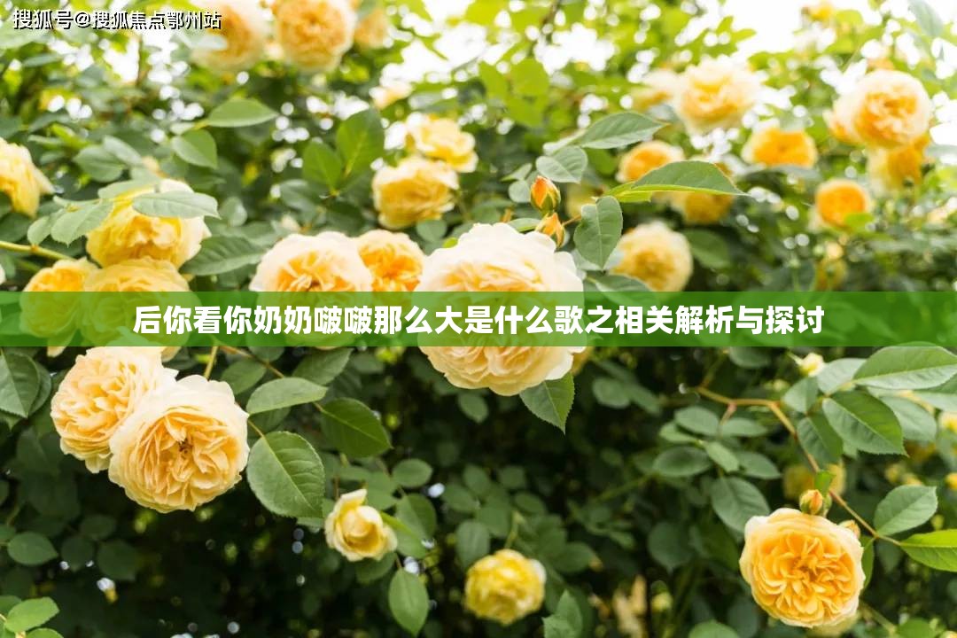 后你看你奶奶啵啵那么大是什么歌之相关解析与探讨