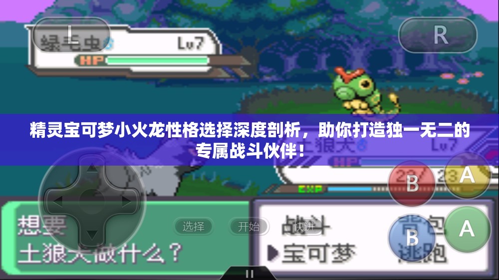 精灵宝可梦小火龙性格选择深度剖析，助你打造独一无二的专属战斗伙伴！