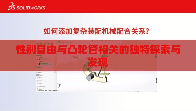 性别自由与凸轮管相关的独特探索与发现