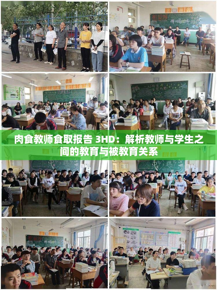 肉食教师食取报告 3HD：解析教师与学生之间的教育与被教育关系