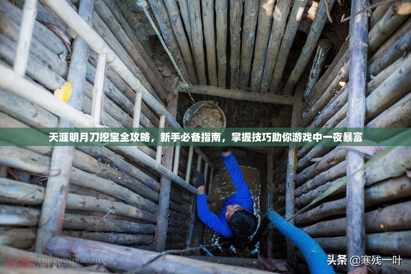 天涯明月刀挖宝全攻略，新手必备指南，掌握技巧助你游戏中一夜暴富