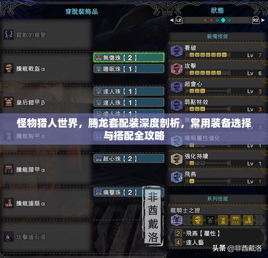 怪物猎人世界，腾龙套配装深度剖析，常用装备选择与搭配全攻略