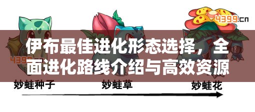 伊布最佳进化形态选择，全面进化路线介绍与高效资源管理策略