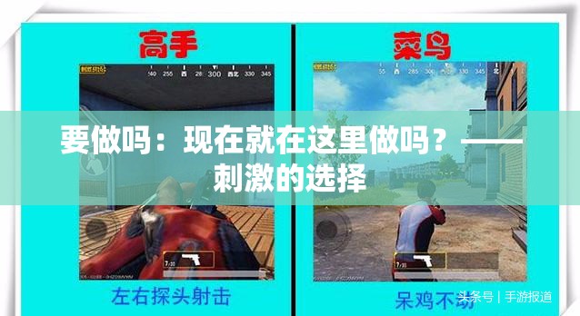 要做吗：现在就在这里做吗？——刺激的选择