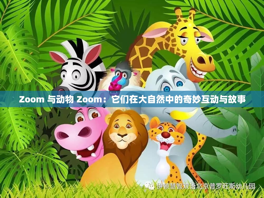 Zoom 与动物 Zoom：它们在大自然中的奇妙互动与故事