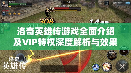 洛奇英雄传游戏全面介绍及VIP特权深度解析与效果探讨