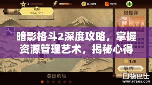 暗影格斗2深度攻略，掌握资源管理艺术，揭秘心得秘籍