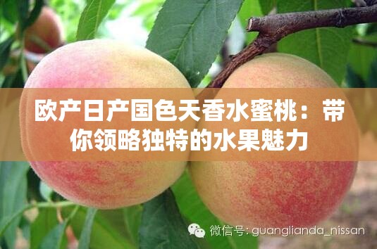 欧产日产国色天香水蜜桃：带你领略独特的水果魅力