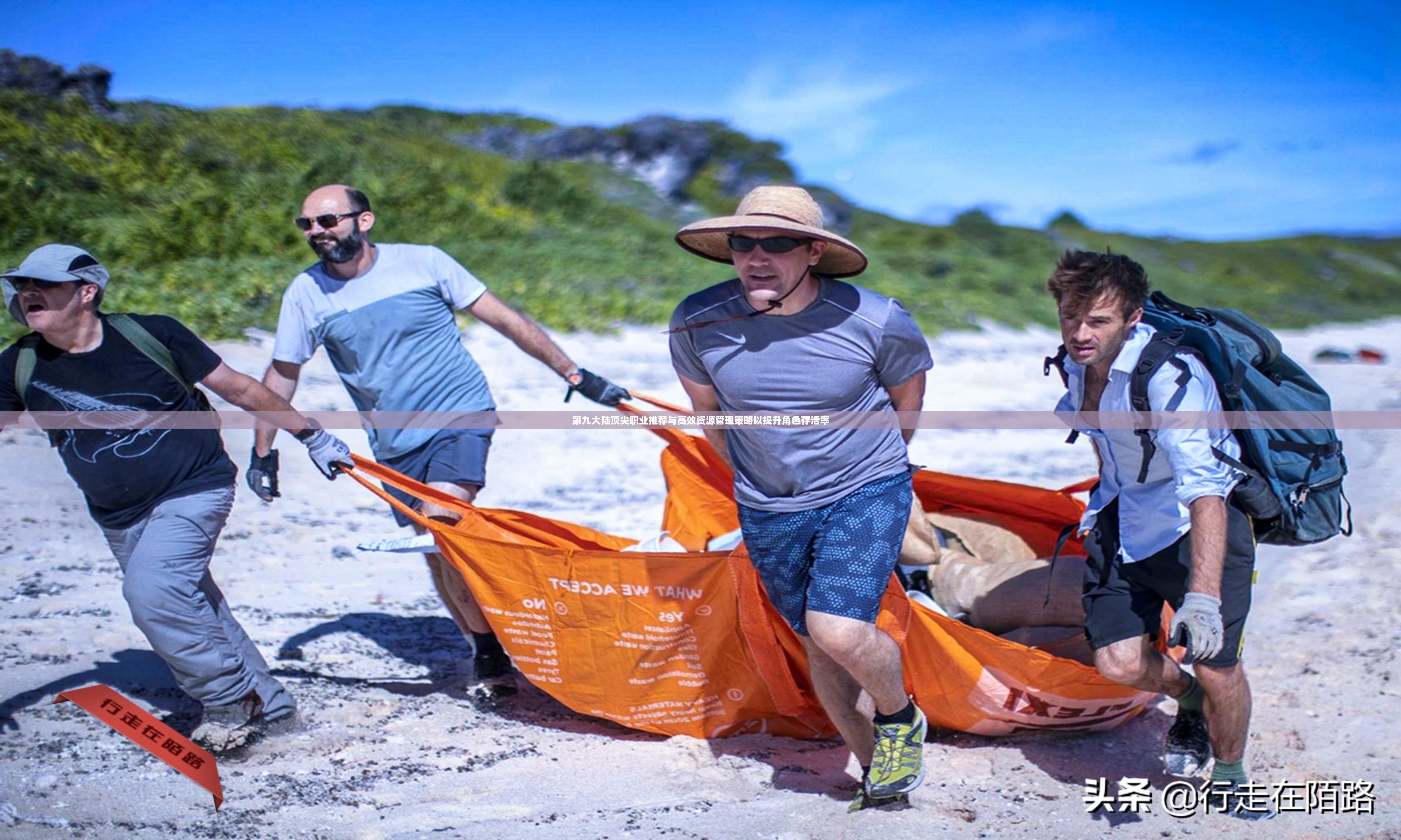 第九大陆顶尖职业推荐与高效资源管理策略以提升角色存活率