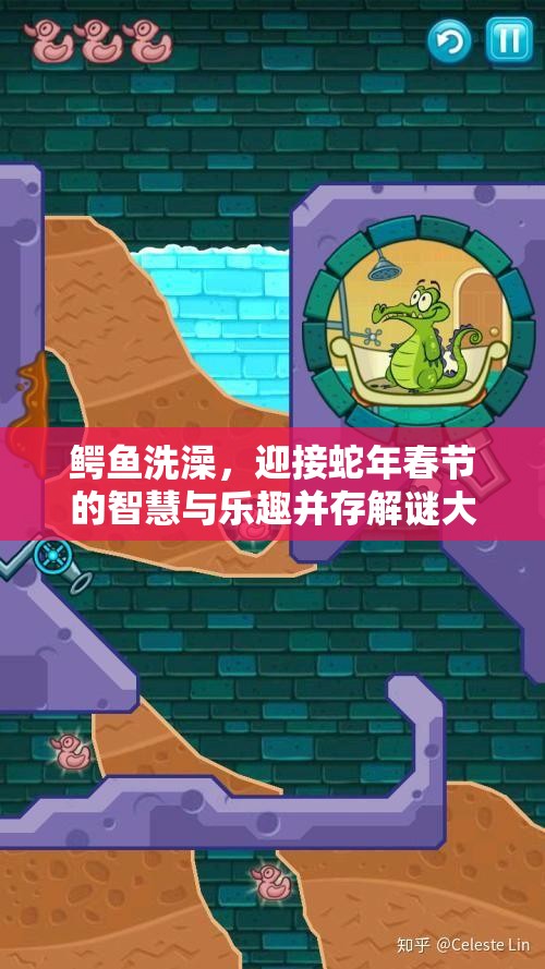 鳄鱼洗澡，迎接蛇年春节的智慧与乐趣并存解谜大冒险之旅