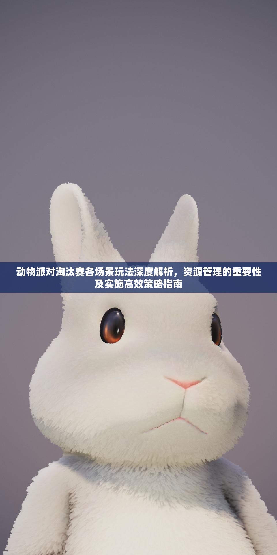 动物派对淘汰赛各场景玩法深度解析，资源管理的重要性及实施高效策略指南