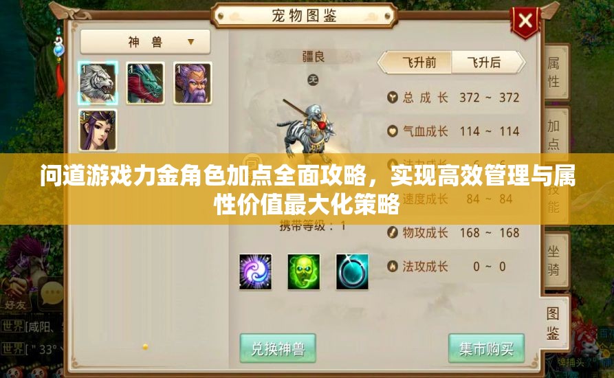 问道游戏力金角色加点全面攻略，实现高效管理与属性价值最大化策略