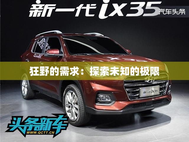 狂野的需求：探索未知的极限