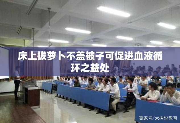 床上拔萝卜不盖被子可促进血液循环之益处