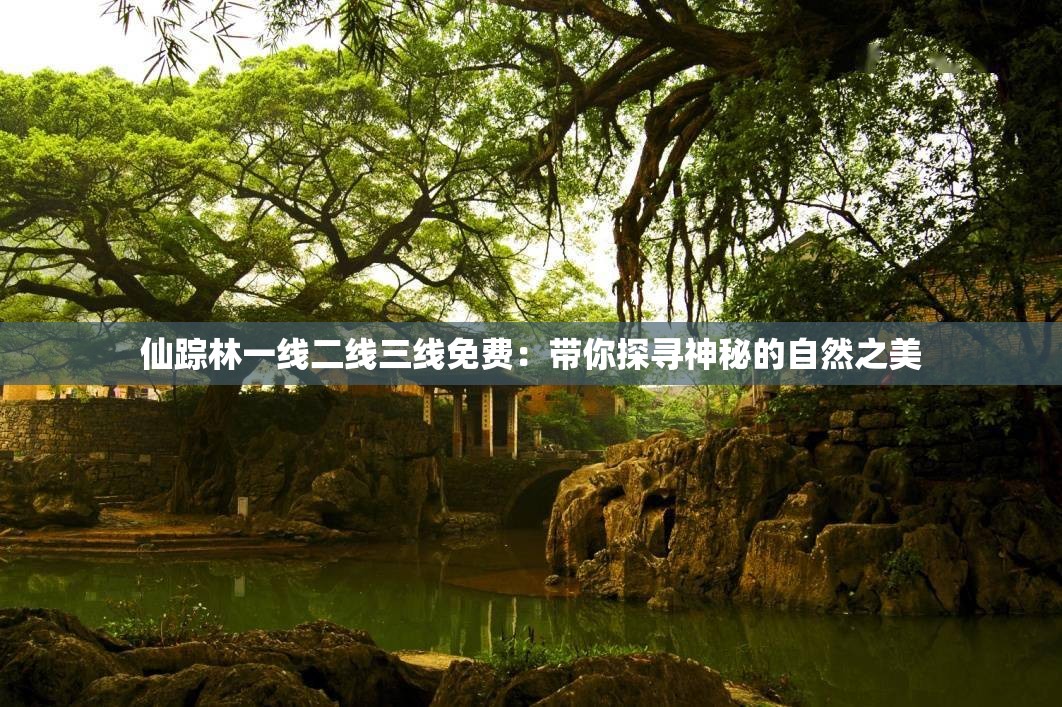 仙踪林一线二线三线免费：带你探寻神秘的自然之美