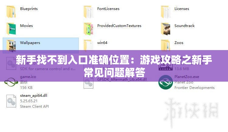 新手找不到入口准确位置：游戏攻略之新手常见问题解答