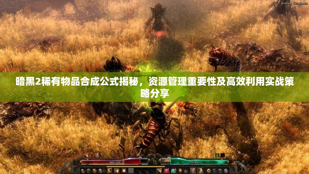 暗黑2稀有物品合成公式揭秘，资源管理重要性及高效利用实战策略分享