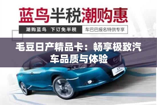 毛豆日产精品卡：畅享极致汽车品质与体验