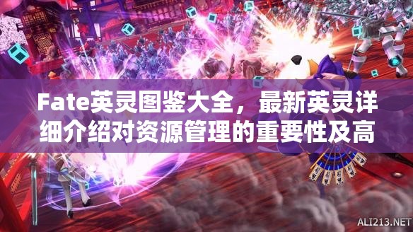 Fate英灵图鉴大全，最新英灵详细介绍对资源管理的重要性及高效应用策略