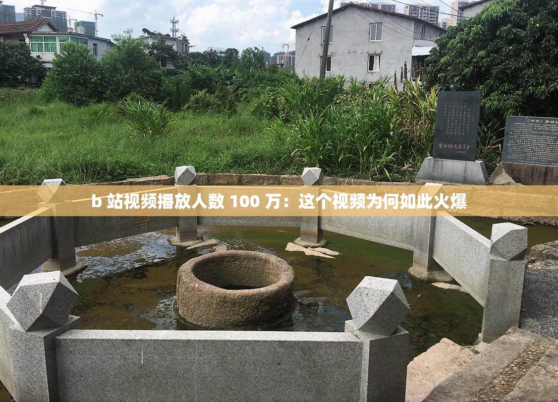 b 站视频播放人数 100 万：这个视频为何如此火爆