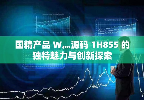 国精产品 W灬源码 1H855 的独特魅力与创新探索
