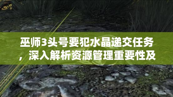 巫师3头号要犯水晶递交任务，深入解析资源管理重要性及实战优化策略