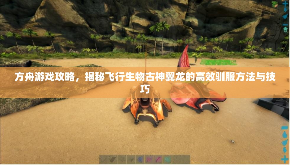 方舟游戏攻略，揭秘飞行生物古神翼龙的高效驯服方法与技巧