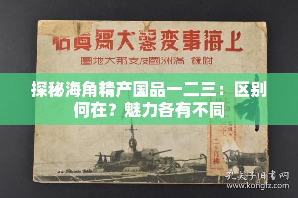 探秘海角精产国品一二三：区别何在？魅力各有不同