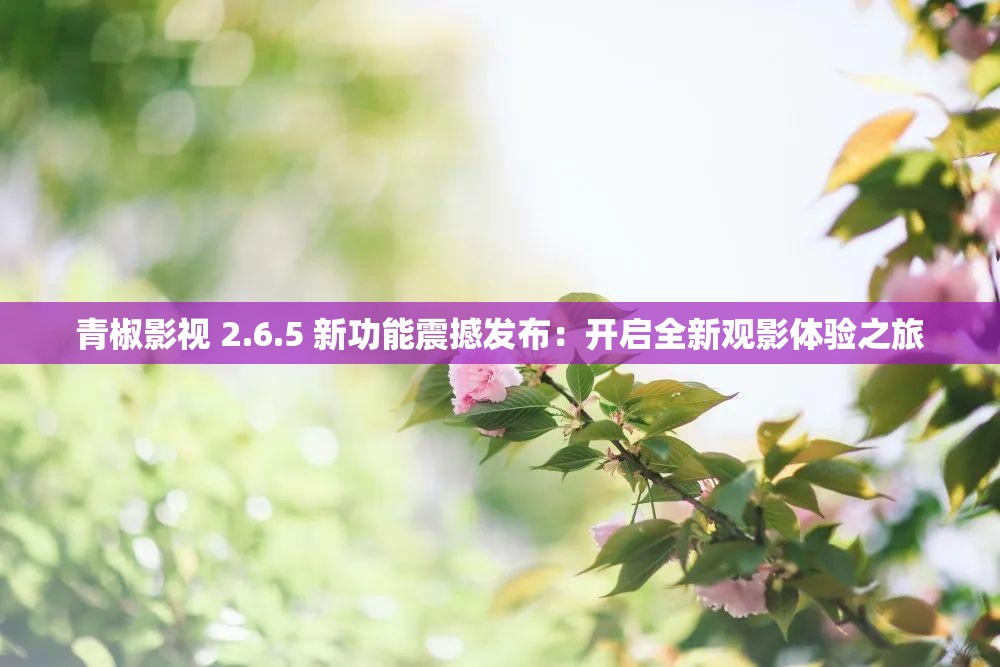 青椒影视 2.6.5 新功能震撼发布：开启全新观影体验之旅