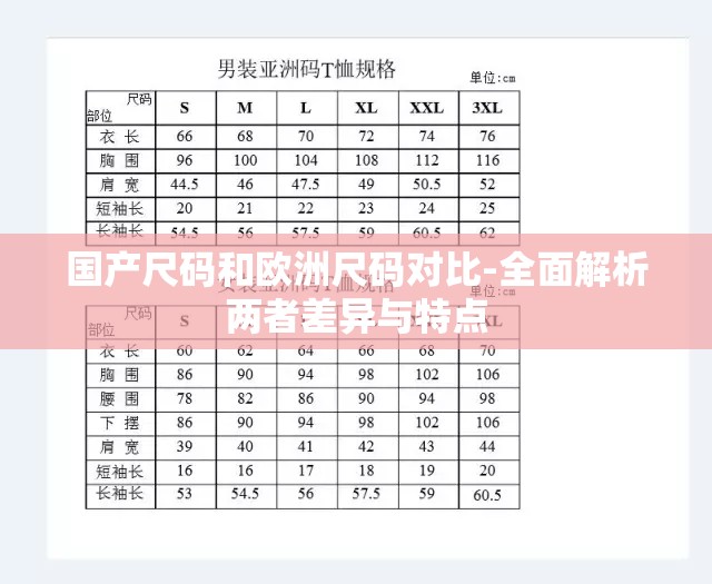 国产尺码和欧洲尺码对比-全面解析两者差异与特点