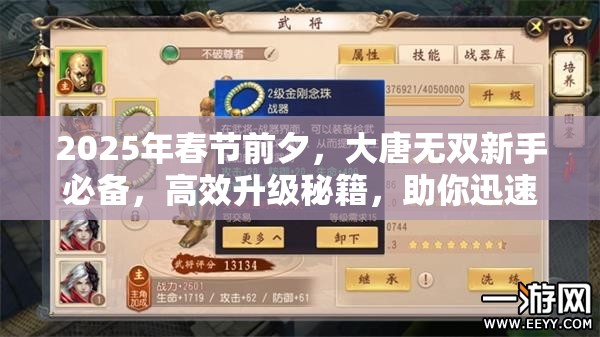 2025年春节前夕，大唐无双新手必备，高效升级秘籍，助你迅速解锁游戏无限乐趣