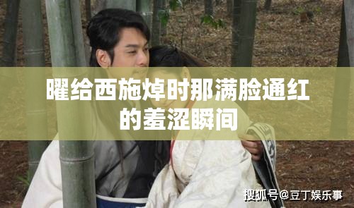 曜给西施焯时那满脸通红的羞涩瞬间