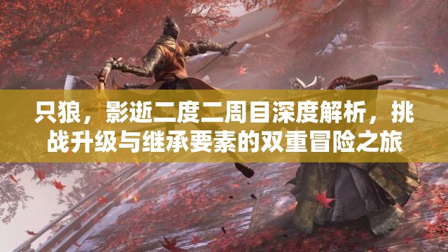 只狼，影逝二度二周目深度解析，挑战升级与继承要素的双重冒险之旅