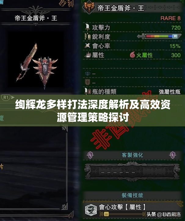 绚辉龙多样打法深度解析及高效资源管理策略探讨