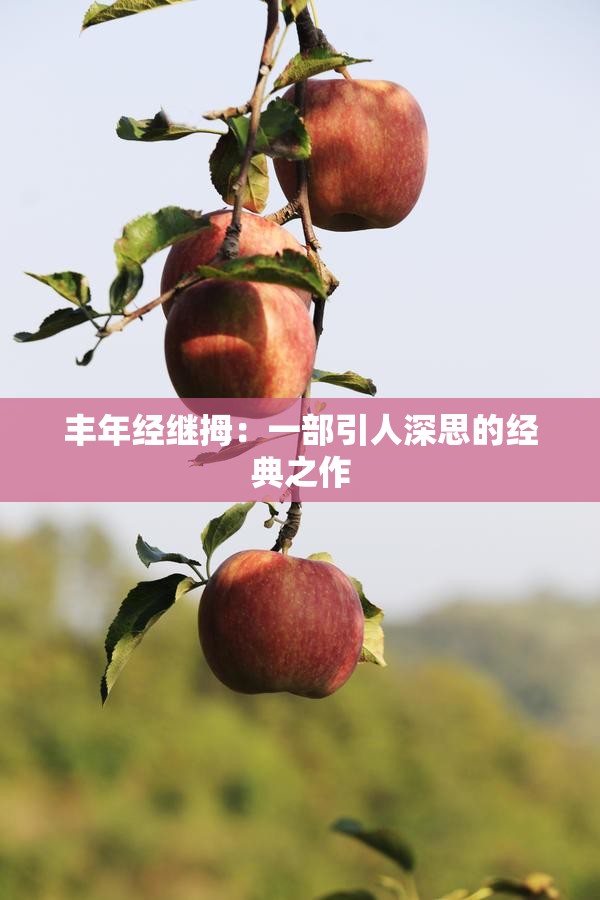丰年经继拇：一部引人深思的经典之作